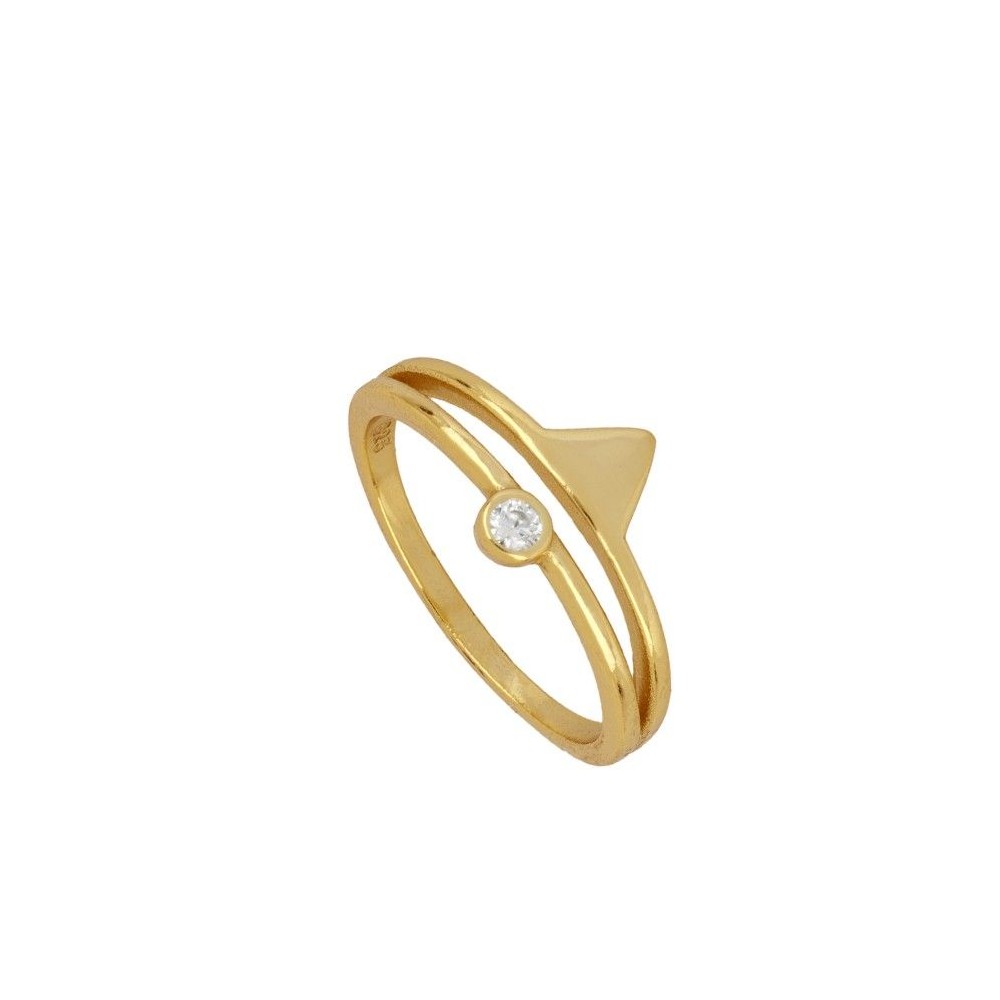 Anillo Beak