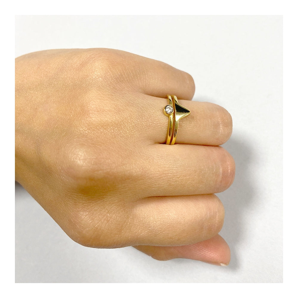 Anillo Beak
