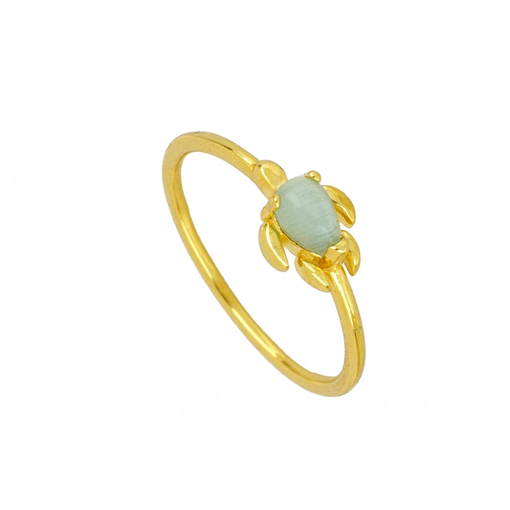 Anillo Turtle