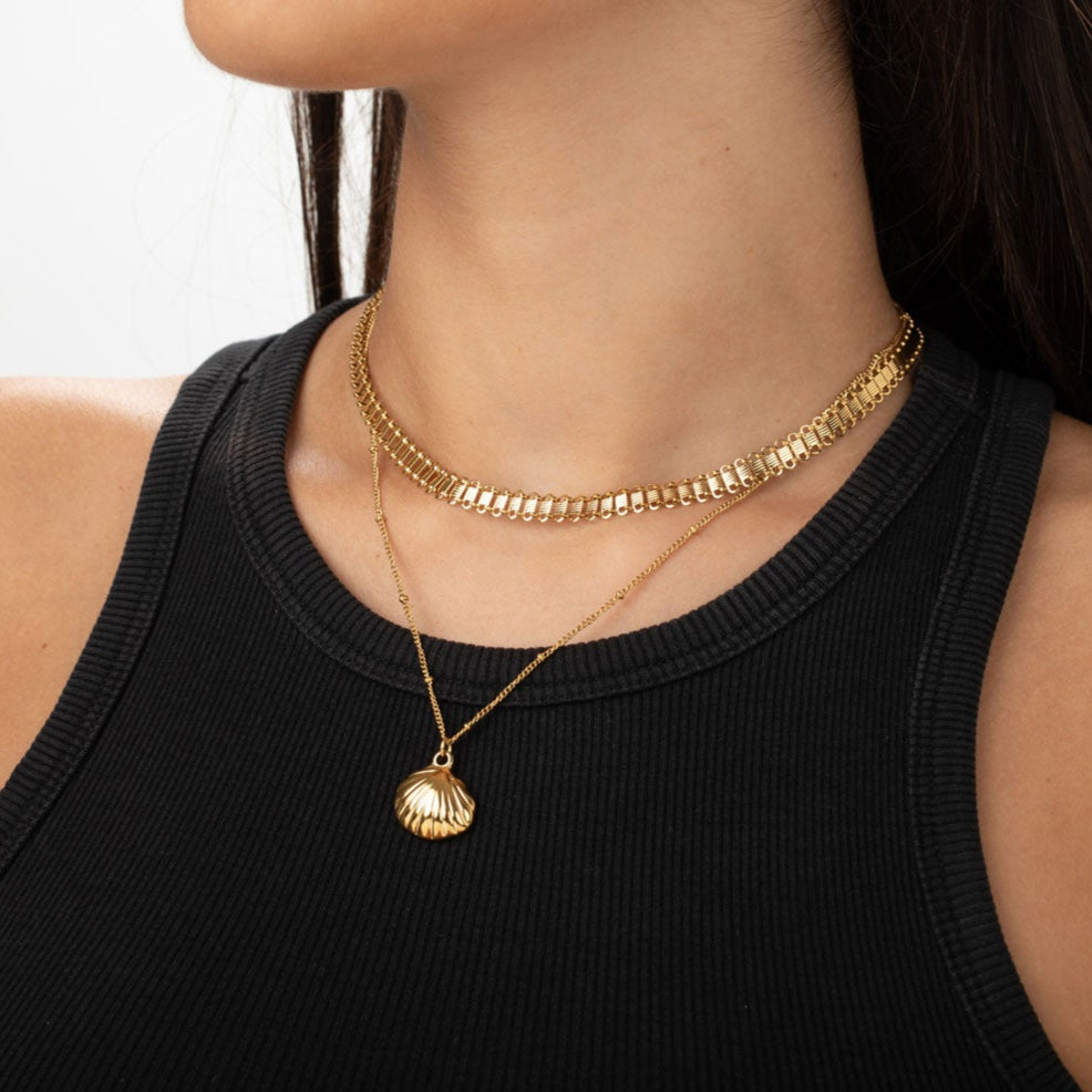 Collar Concha Acero