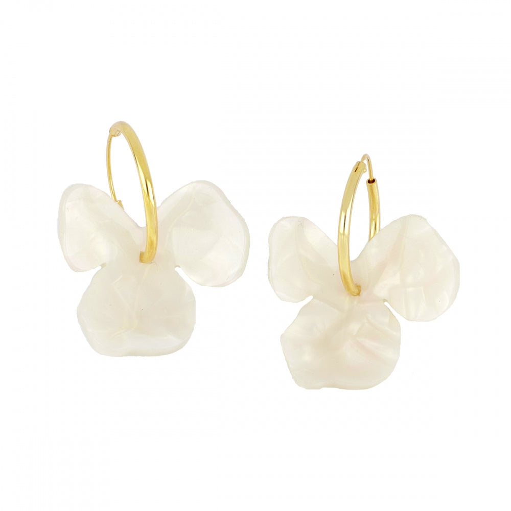PENDIENTES HARS