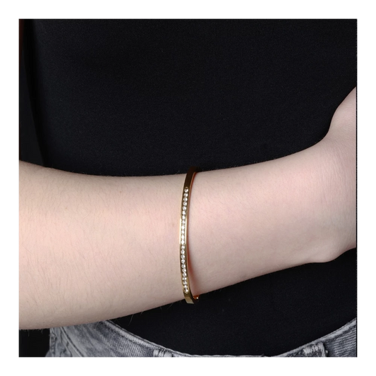 Pulsera Gloei de Acero con Circonitas