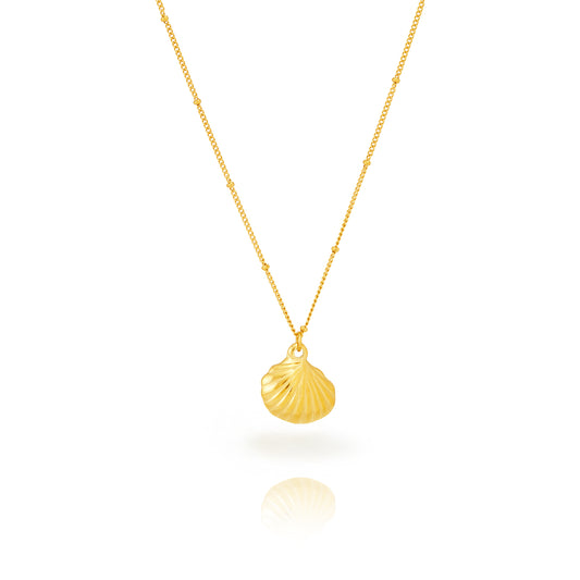 Collar Concha Acero