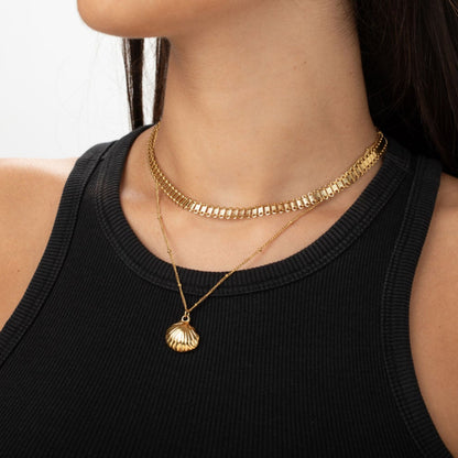 Collar Concha Acero